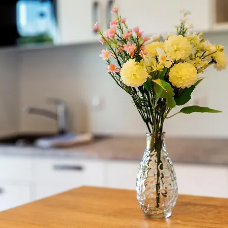 Apartment Wiese Vineta